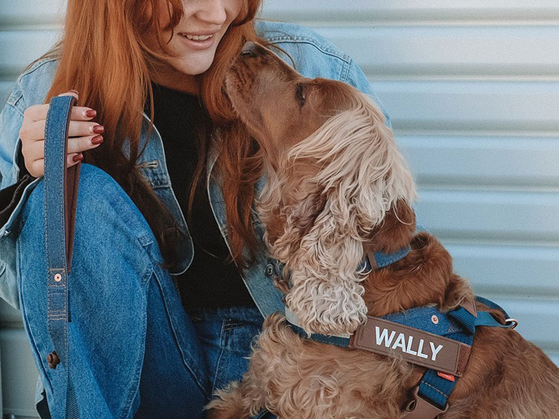 EzyDog Customisation | EzyDog Australia | Pet Directory