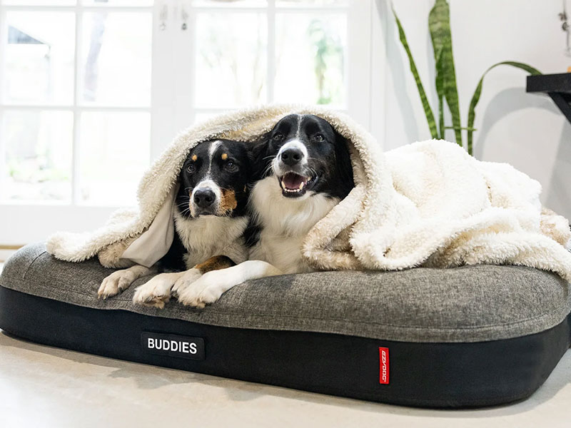 EzyDog Bedding | EzyDog Australia | Pet Directory