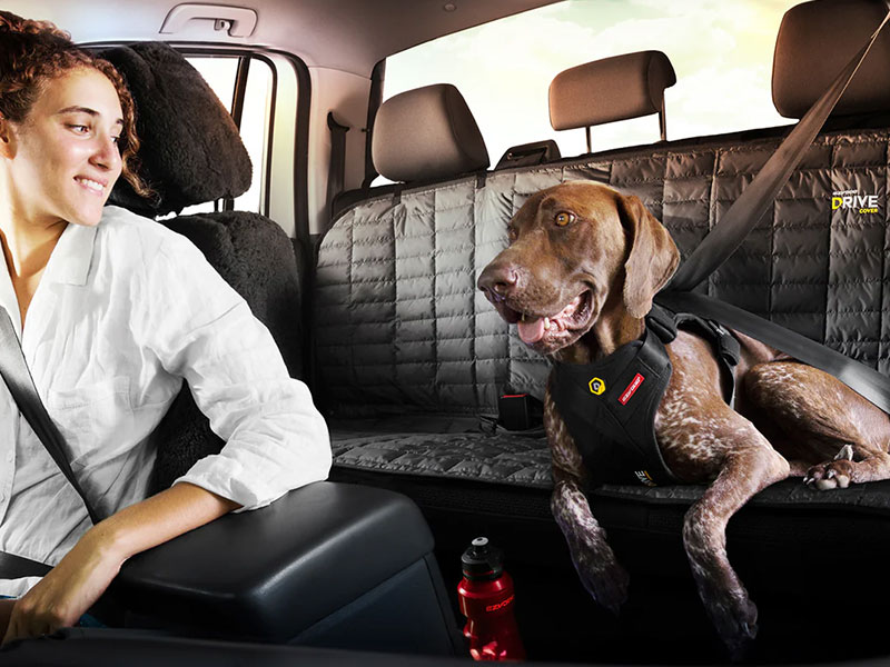 EzyDog Travel Accessories | EzyDog Australia | Pet Directory