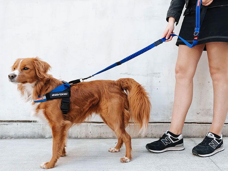 EzyDog Leashes | EzyDog Australia | Pet Directory