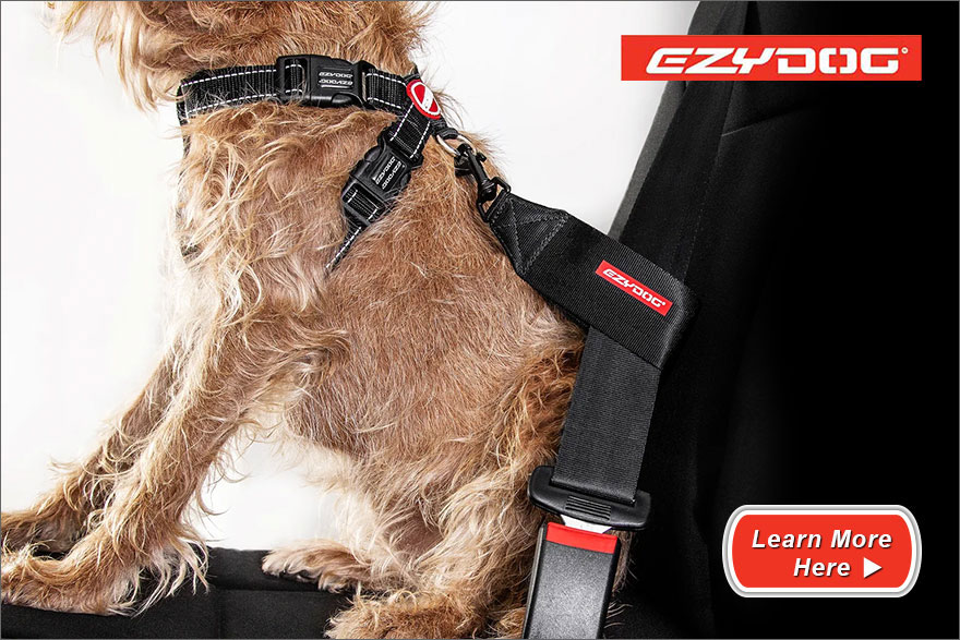Dog Transport | Dog Travel | Dog Movers | Pet Directory